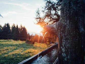 Brunnenwasser bei aufgehender Sonne | © Urlaub am Bauernhof Steiermark / Daniel Gollner 