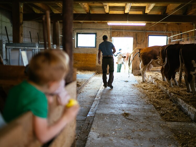 Mann geht im Stall | © Urlaub am Bauernhof Tirol / Daniel Gollner 