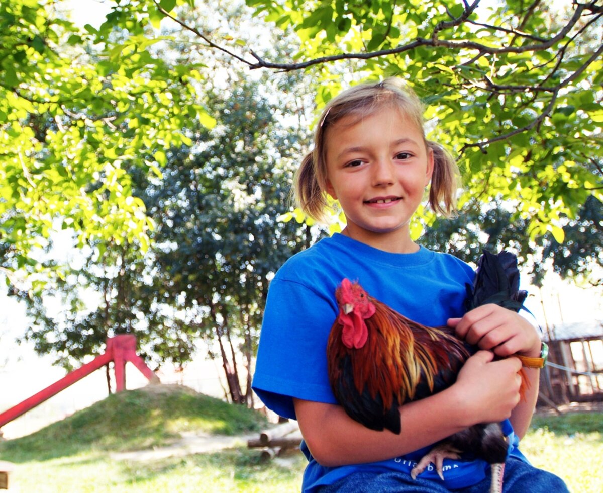 Mädchen mit Huhn im Arm im Garten | © Urlaub am Bauernhof Burgenland / Steve Haider 