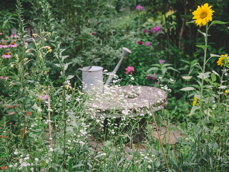 Giesskanne im Bauerngarten | © Urlaub am Bauernhof Burgenland / Julia Reiterics 