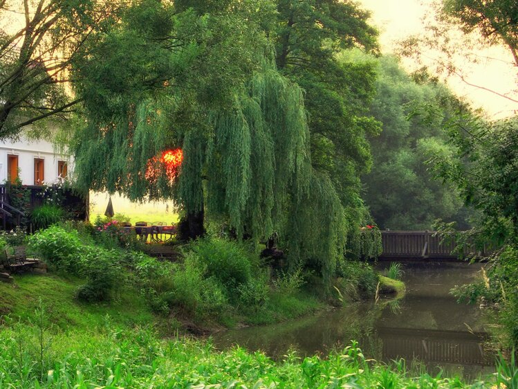 Frühstück am Bach in der Landhofmühle | © Urlaub am Bauernhof Burgenland / Franz Fartek