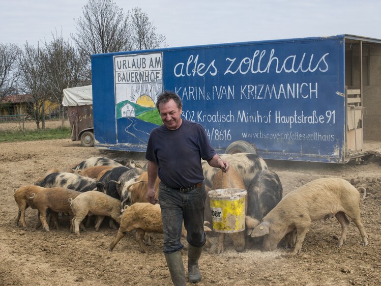 Bauer beim schweinefüttern im Alten Zollhaus im Südburgenland | © Urlaub am Bauernhof im Burgenland / Melanie Limbeck