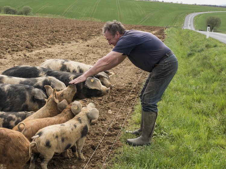 Bauer mit Schweinen im Alten Zollhaus im Südburgenland | © Urlaub am Bauernhof / Melanie Limbeck