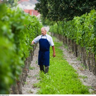 Winzer im Weingarten im Burgenland | © Urlaub am Bauernhof Burgenland / Andi Bruckner