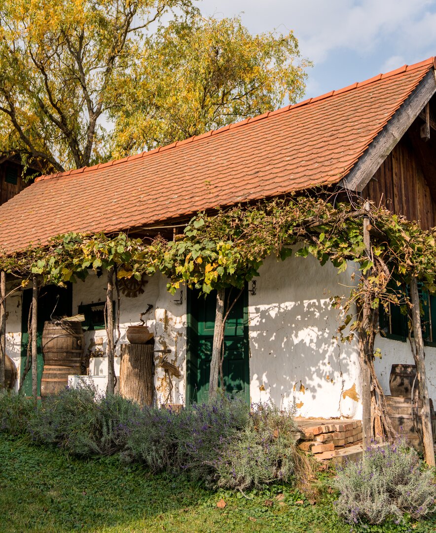 Kellerstöckl im Burgenland | © Burgenland Tourismus GmbH / Birgit Machtinger