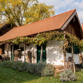 Kellerstöckl im Burgenland | © Burgenland Tourismus GmbH / Birgit Machtinger