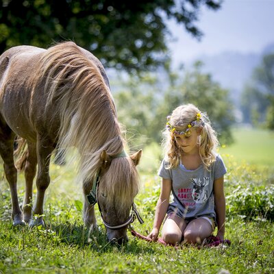 Mädchen sitzt mit Pferd auf der Wiese | © Urlaub am Bauernhof Kärnten / Tom Lamm