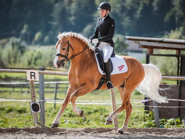 Frau reitet Haflinger | © Marion Berg / Pfeiferhof