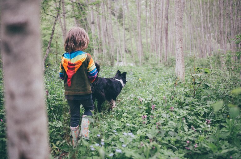 Kinder mit dem Hund im Wald | © Urlaub am Bauernhof Kärnten/ Daniel Gollner