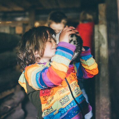 Mädchen mit der Katze | © Urlaub am Bauernhof Kärnten / Daniel Gollner Mädchen hebt die Katze hoch | © Urlaub am Bauernhof Kärnten / Daniel Gollner