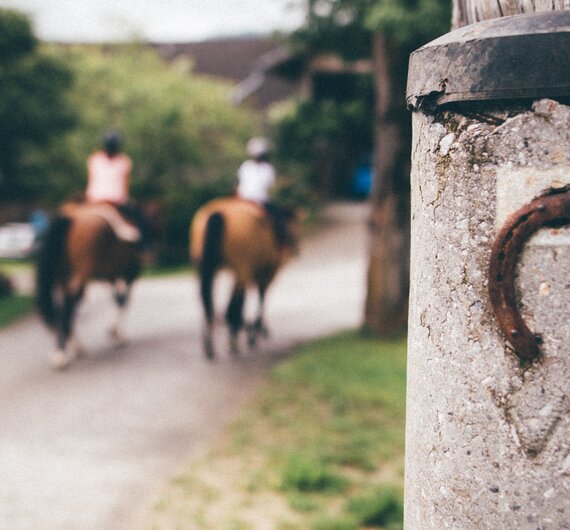 Kinder reiten auf den Pferden und Hufeisen am Stein | © Urlaub am Bauernhof Kärnten/ Daniel Gollner