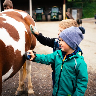 Kinder putzen das Pferd | © Urlaub am Bauernhof Kärnten/ Daniel Gollner