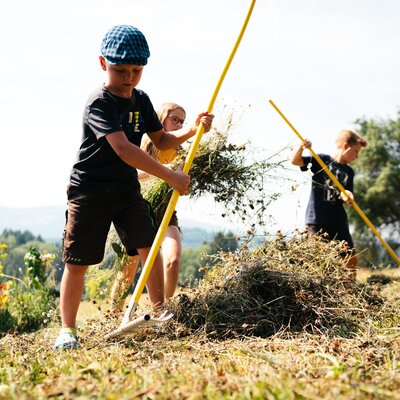 Kinder machen Heu auf der Wiese | © Urlaub am Bauernhof Kärnten/ Daniel Gollner