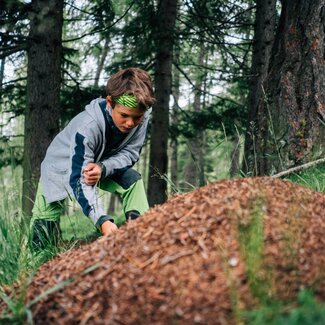 Bub beim Ameisenhaufen im Wald | © Urlaub am Bauernhof Kärnten / Daniel Gollner