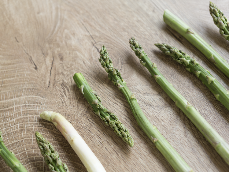 grüner und weißer Spargel | © Weinviertel Tourismus / Astrid Bartl