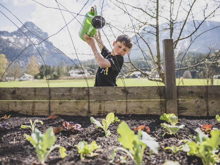 Bub gießt Salat | © Urlaub am Bauernhof Österreich