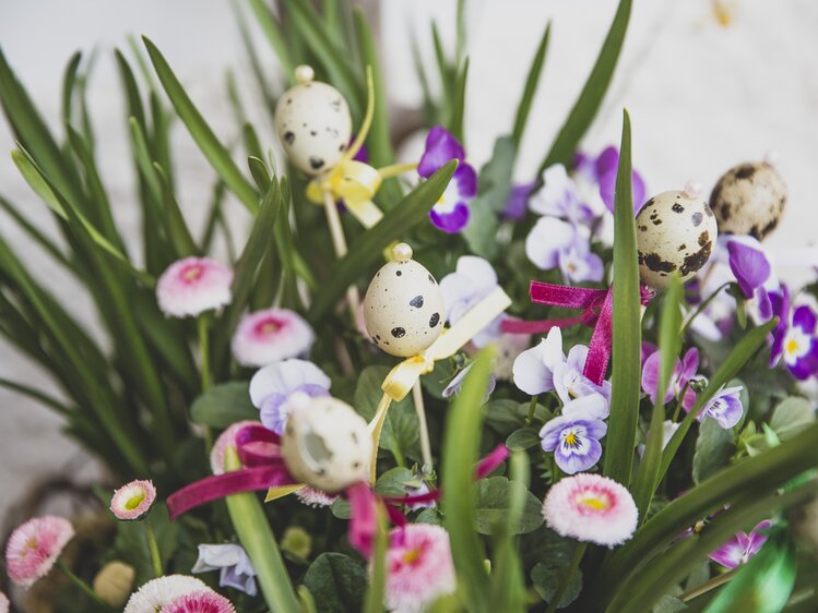 Bunte Frühlingsblumen | © Urlaub am Bauernhof Österreich