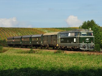 Reblausexpress | © Weinviertel Tourismus / Knipserl