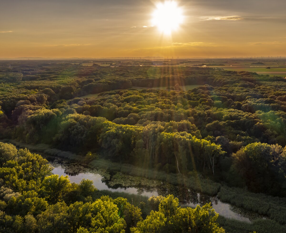 Nationalpark Donau Auen | © Donau Niederösterreich / Robert Herbst