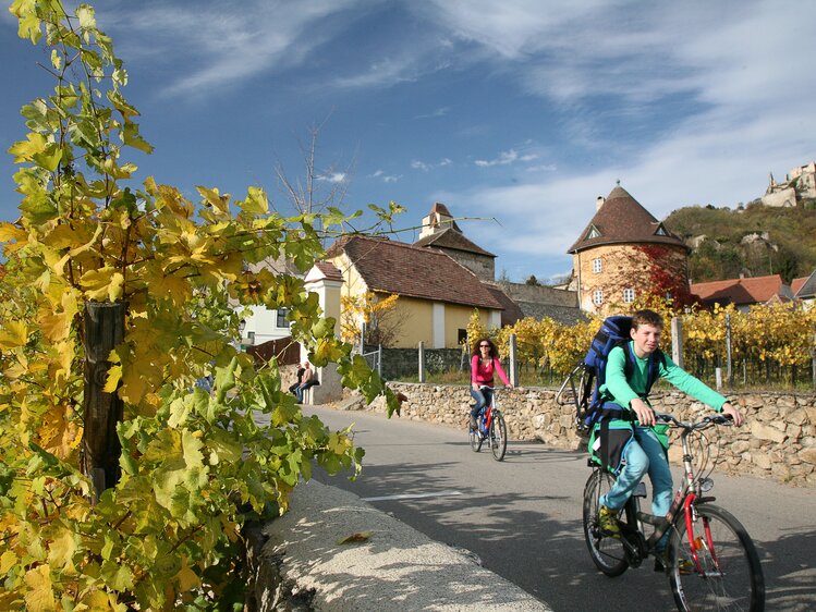 Kinder fahren am Donauradweg bei Dürnstein | © Donau Niederösterreich / Uwe Kraus