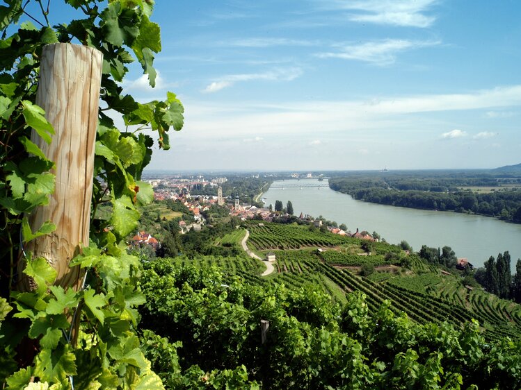 Landschaftsfoto Krems an de Donau | © Winzer Krems / K.M. Westermann