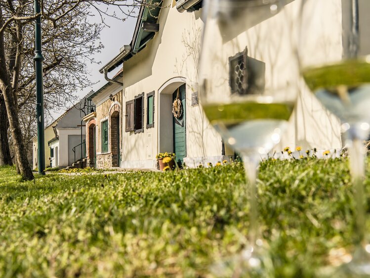 Kellergasse im Frühling | © Niederösterreich Werbung / Robert Herbst