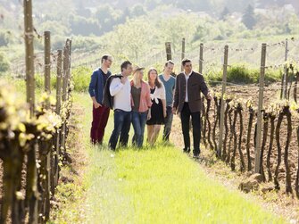 Leute stehen im Weingarten  | © Weinviertel Tourismus / Astrid Bartl