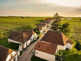 Luftaufnahme Kellergasse in Zellerndorf im Weinviertel  | © Weinviertel Tourismus / Herbst