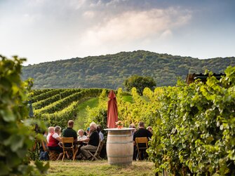 Leute jausnen im Weingarten im Wienerwald | © Wienerwald Tourismus / Christian Dusek