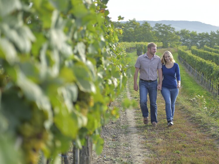 Spaziergang im Weingarten | © Urlaub am Winzerhof / Ralph Fischbacher