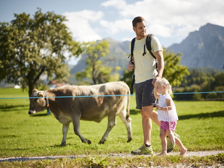 Papa wandert mit der Tochter an einer Kuh vorbei | © Urlaub am Bauernhof Oberösterreich / Alexander Kaiser