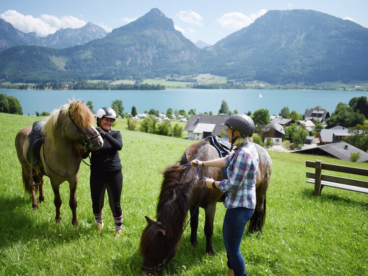 Reiten auf Islandpferden am Wolfgangsee | © Urlaub am Bauernhof Oberösterreich / Harald Puchegger