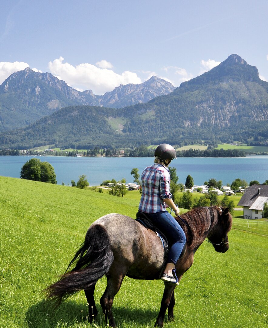 Frau reitet mit Blick auf den Wolfgangsee, Salzkammergut | © Urlaub am Bauernhof Oberösterreich / Harald Puchegger