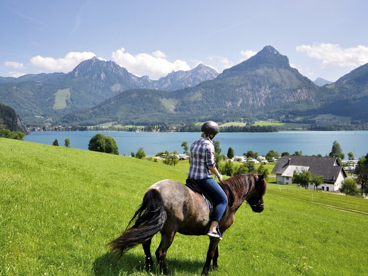 Frau reitet mit Blick auf den Wolfgangsee, Salzkammergut | © Urlaub am Bauernhof Oberösterreich / Harald Puchegger