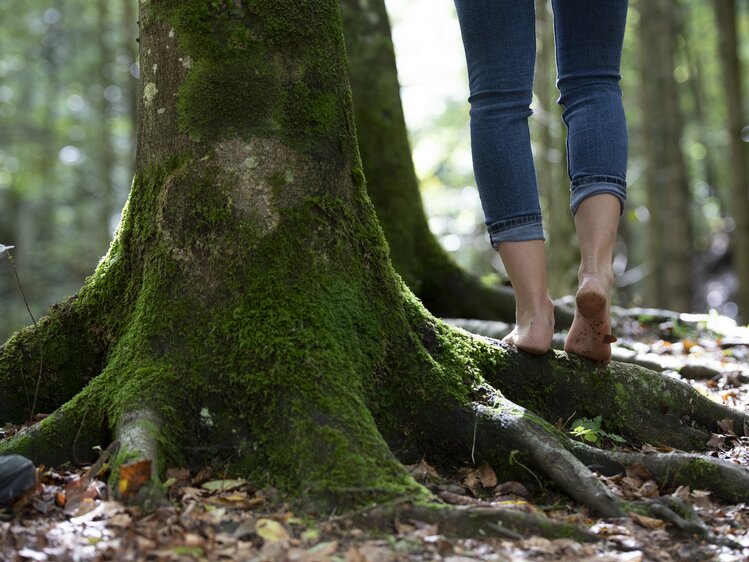 Frau geht barfuß durch den Wald | © Urlaub am Bauernhof Oberösterreich / puremotions photography