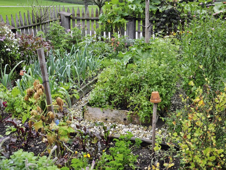 Bauerngarten | © Urlaub am Bauernhof Oberösterreich / Harald Puchegger