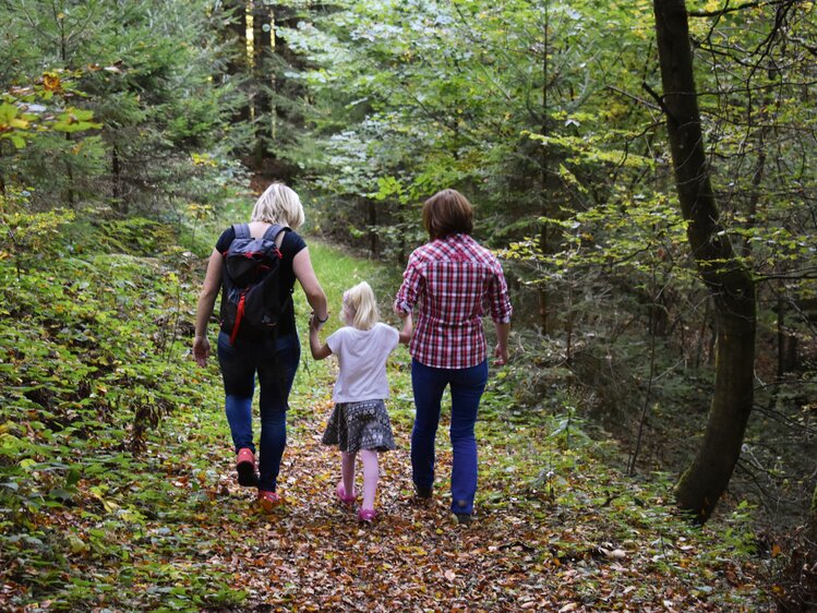 Waldspaziergang mit der Familie | © Urlaub am Bauernhof Oberösterreich / Harald Puchegger