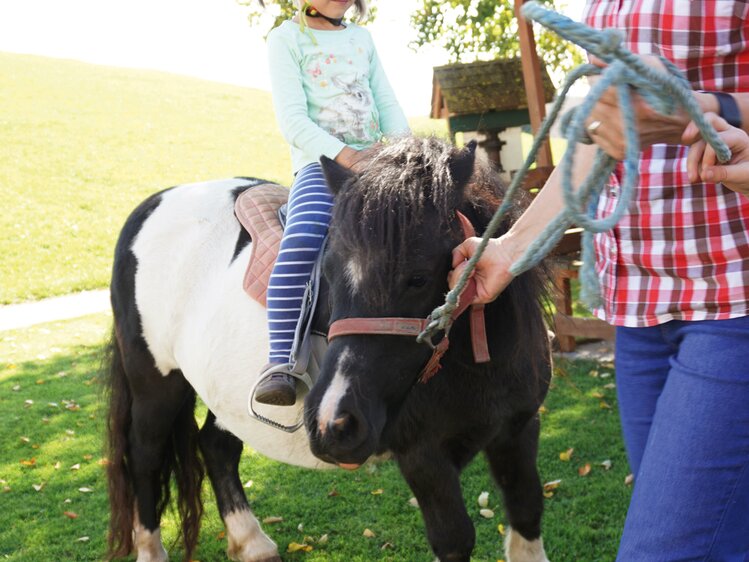 Kind reitet auf einem Pony | © Urlaub am Bauernhof Oberösterreich / Harald Puchegger