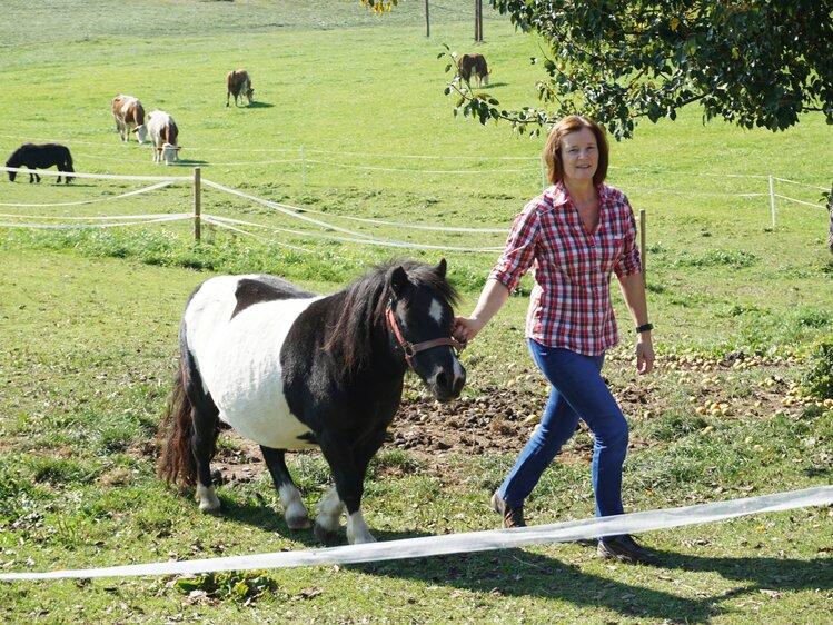 Bäuerin führt Pony auf die Weide | © Urlaub am Bauernhof Oberösterreich / Harald Puchegger