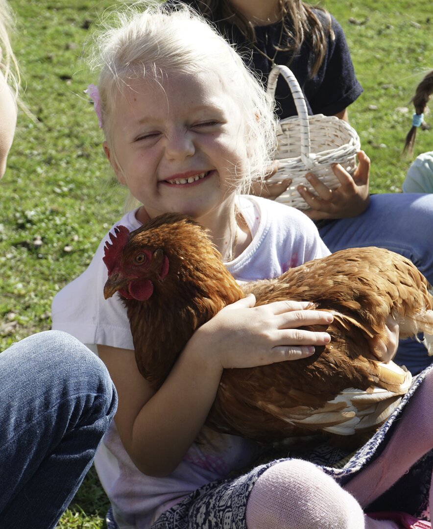 Kind hält ein Huhn auf dem Arm und streichelt es | © Urlaub am Bauernhof Oberösterreich / Harald Puchegger