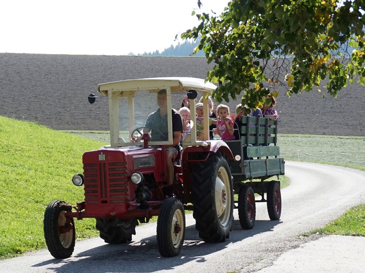 Kinder auf dem Anhänger bei einer Traktorfahrt mit dem Bauern | © Urlaub am Bauernhof Oberösterreich / Harald Puchegger