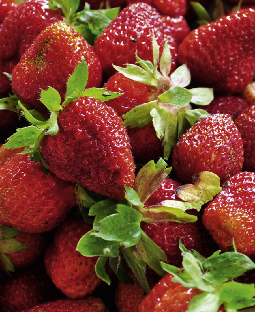 Schüssel mit frischen Erdbeeren | © Urlaub am Bauernhof Oberösterreich / Harald Puchegger