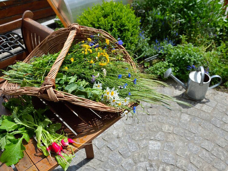 Korb mit Blumen, Kräutern und Gemüse aus dem Garten | © Urlaub am Bauernhof Oberösterreich / Ralph Fischbacher