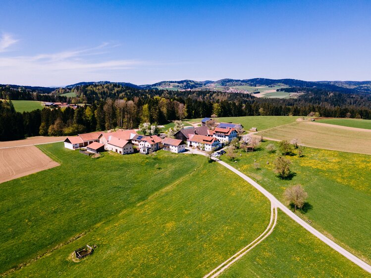 Biohof Stadler in Oberkappel, Mühlviertel | © Urlaub am Bauernhof Oberösterreich / Daniel Gollner