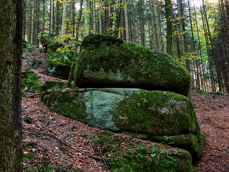 Bemooste Granitfelsen im herbstlichen Wald, Mühlviertel | © Urlaub am Bauernhof Oberösterreich / Harald Puchegger