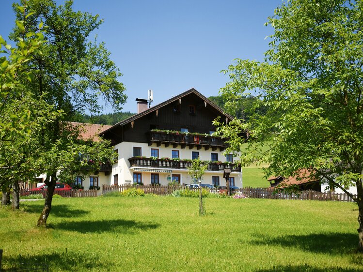 Nussbaumer am Irrsee | © Urlaub am Bauernhof Oberösterreich / Harald Puchegger