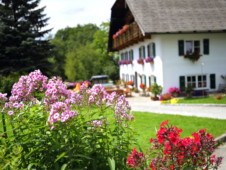 Blumenschmuck beim Plaiknerbauer in St. Wolfgang, Salzkammergut | © Urlaub am Bauernhof Oberösterreich / Ralph Fischbacher