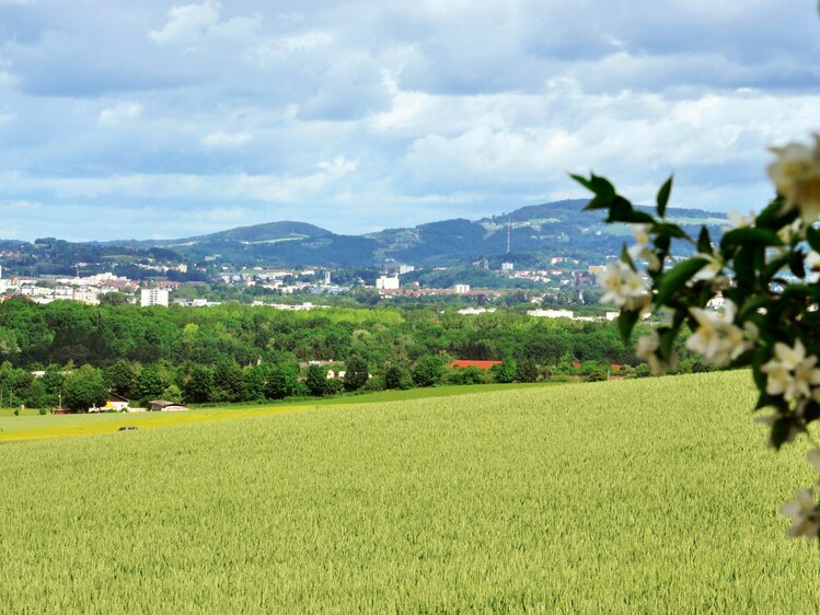 Ausblick vom Waldbothgut auf Linz | © Urlaub am Bauernhof Oberösterreich / Harald Puchegger