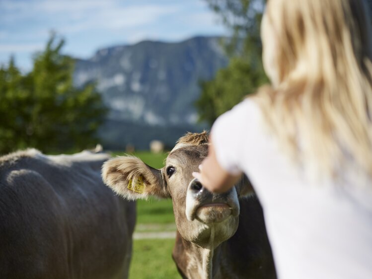 Frau berührt die Nase einer Kuh | © Urlaub am Bauernhof Oberösterreich / Alexander Kaiser