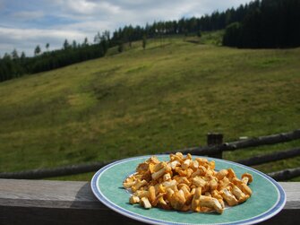 Frisch geerntete Eierschwammerl auf der Galgenhütte | © Urlaub am Bauernhof Österreich / Markus Lackinger